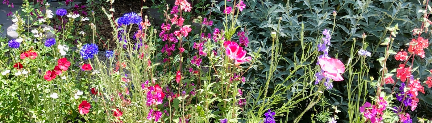 Mixed flowers